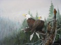 Adler über Wald Vögel